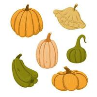 otoño calabazas y calabazas mano dibujado vector colocar.