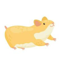 Hamster illustration. Vector isolated element.