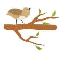 Cute bird sits on a tree branch. Funny curious sparrow. Charming funny wild bird, feathered on a twig. Flat vector stock illustration isolated on white background. Spring bird on a blossoming tree.