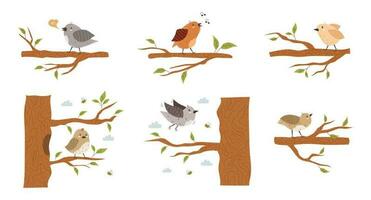 Collection of various small birds sitting on tree branches. Flying and singing spring sparrows. Flat stock vector illustration on an isolated white background. Various funny wild feathered animals.