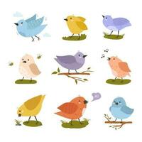 Set of cute birds sitting on a branch. Feathered colorful animals drawn in a flat style. Vector illustration on a white background in a simple cartoon style. Singing bird, flying, hand drawn bee.