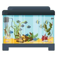 Rectangular aquarium with fish and algae. Vector illustration isolated on a white background.