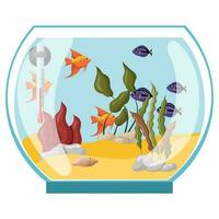 Round aquarium with fish and algae. Vector illustration isolated on a white background.