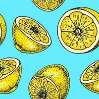 Lemon slice seamless pattern. Colorful hand drawn vector illustration in sketch style. Tropical exotic citrus fruit summer background