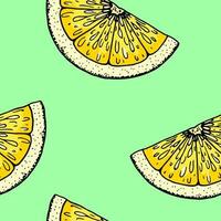 Lemon slice seamless pattern. Colorful hand drawn vector illustration in sketch style. Tropical exotic citrus fruit summer background