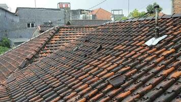 piastrella fatto di argilla su un' Casa colpire di il pioggia. il piastrella, quale era originariamente Marrone, trasformato nero dovuto per tempo metereologico e fungo. video