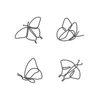 butterfly drawing line art set vector