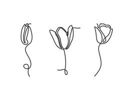 flower drawing line art set vector