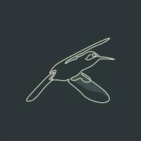 bird drawing line art vector