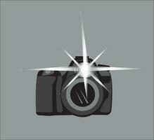 Camera with Flash vector