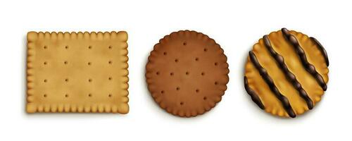 Realistic set of crispy cracker cookies vector