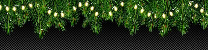 Christmas tree branches with lights garland vector