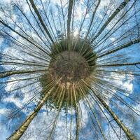 Spherical abstract aerial view in forest with clumsy branches. tiny planet transformation of spherical panorama 360 degrees. Curvature of space. photo