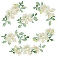 watercolor white thai flower gardenia and orange jasmine bouquet wreath frame collection vector