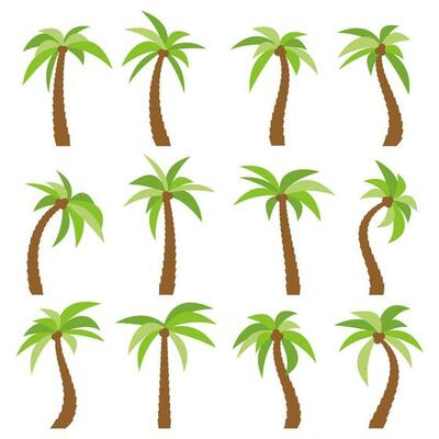 Set of sixteen different cartoon palm trees isolated on white background. Vector illustration