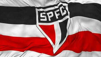 sao Paulo futebol Verein, sao Paulo Fußball Verein Flagge nahtlos Schleifen Hintergrund, geloopt stoßen Textur Stoff winken schleppend Bewegung, 3d Rendern video