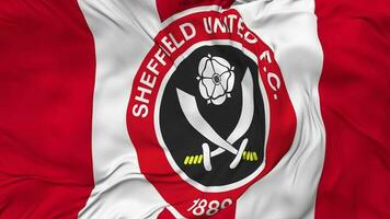 Sheffield uni Football club drapeau sans couture boucle arrière-plan, en boucle bosse texture tissu agitant lent mouvement, 3d le rendu video