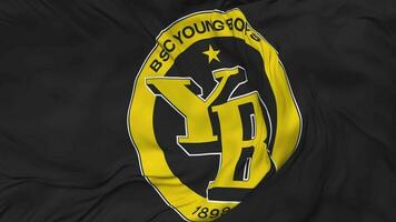 BSC Young Boys, YB Football Club Flag Seamless Looping Background, Looped Bump Texture Cloth Waving Slow Motion, 3D Rendering video