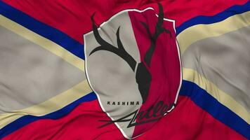 Kashima Antlers Football Club Flag Seamless Looping Background, Looped Bump Texture Cloth Waving Slow Motion, 3D Rendering video