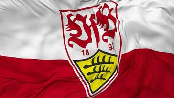 verein Pelz Bewegungsspiele Stuttgart 1893 e v, vfb Stuttgart Flagge nahtlos Schleifen Hintergrund, geloopt stoßen Textur Stoff winken schleppend Bewegung, 3d Rendern video