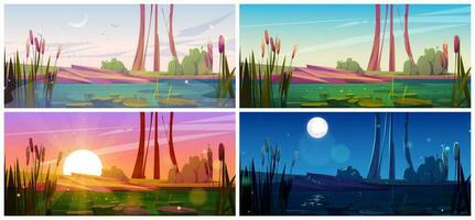Green swamp and cattail near lake, full moon night vector