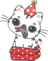 fofa brincalhão feliz aniversário gato gatinho a comemorar festa desenho animado rabisco mão desenhando png