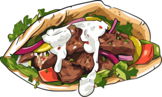 Greek gyros wrapped in pita bread png