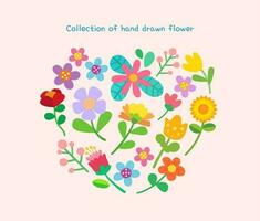 Hand drawn spring flower collection vector