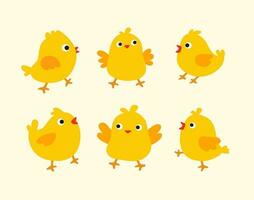 Vector coloured chick collection