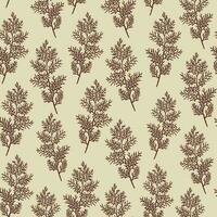 Realistic botanical ink sketch of pine tree branches on beige background. Christmas seamless pattern. Conifer plant sketch for invitations, greeting cards. Vector illustrations