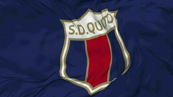 sociedad deportivo quito drapeau sans couture boucle arrière-plan, en boucle bosse texture tissu agitant lent mouvement, 3d le rendu video