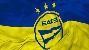 FC BATE Borisov Flag Seamless Looping Background, Looped Bump Texture Cloth Waving Slow Motion, 3D Rendering video