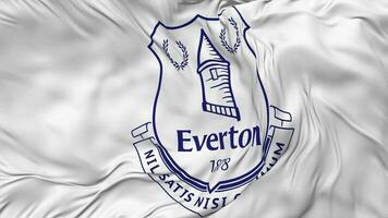 everton futebol clube bandeira desatado looping fundo, em loop colisão textura pano acenando lento movimento, 3d Renderização video