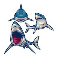 SHARK POSE WITH POSE vector