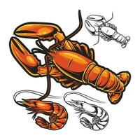 LOBSTER AND SHIRMP vector