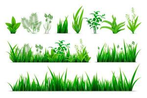 Realistic spring grass set collection vector