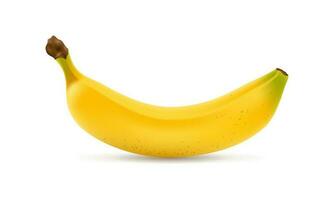 Realistic banana isolated on white background. Vector isolated illustration