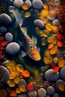 fish that is swimming in some water. . photo