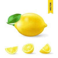 Realistic lemon with green leaf, whole and sliced vector