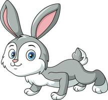 Cute bunny cartoon on white background vector