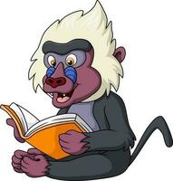 Cute mandrill baboon cartoon reading a book vector