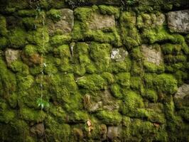 Old Mossy Textured Wall background photo