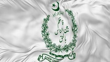 suprême tribunal de Pakistan drapeau sans couture boucle arrière-plan, en boucle bosse texture tissu agitant lent mouvement, 3d le rendu video