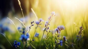 primavera antecedentes con azul flores con el Dom brillante en eso foto