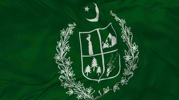 Government of Gilgit Baltistan Flag Seamless Looping Background, Looped Bump Texture Cloth Waving Slow Motion, 3D Rendering video