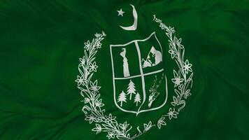 Government of Gilgit Baltistan Flag Seamless Looping Background, Looped Bump Texture Cloth Waving Slow Motion, 3D Rendering video