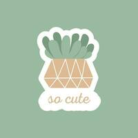 Cute cactus, succulent indoor plant in  pot. Vector isolated illustration. Sticker in flat style. So cute lettering. Floral card design in cartoon flat style.