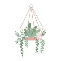 Cute cactus, succulent indoor plants in hanging  pot. Vector isolated illustration.  Floral drawing in cartoon flat style.