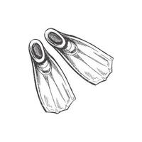 Hand drawn  sketch of diving fins. Vintage vector illustration isolated on white background. Doodle drawing.