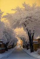 street lined with trees covered in snow. . photo